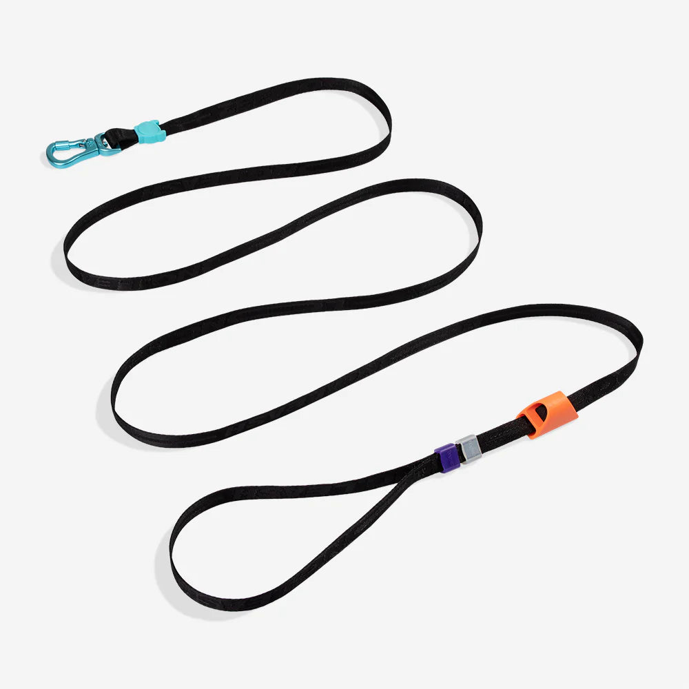 Long Leash 2.0