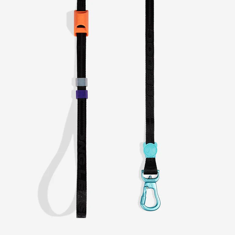 Long Leash 2.0