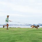 Long Leash