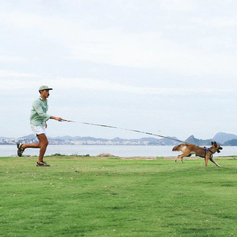 Long Leash